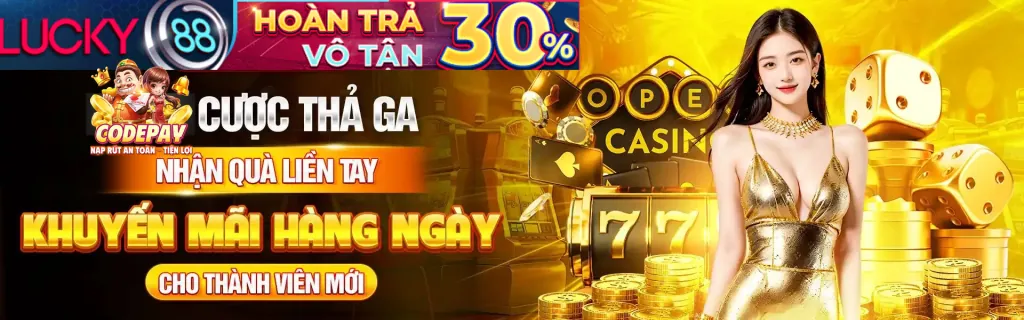 Bảo mật và quyền riêng tư của vuabai99